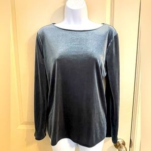 Anne Taylor Luxe Velvet Top